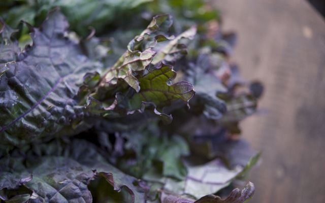 Red kale 790 xxx